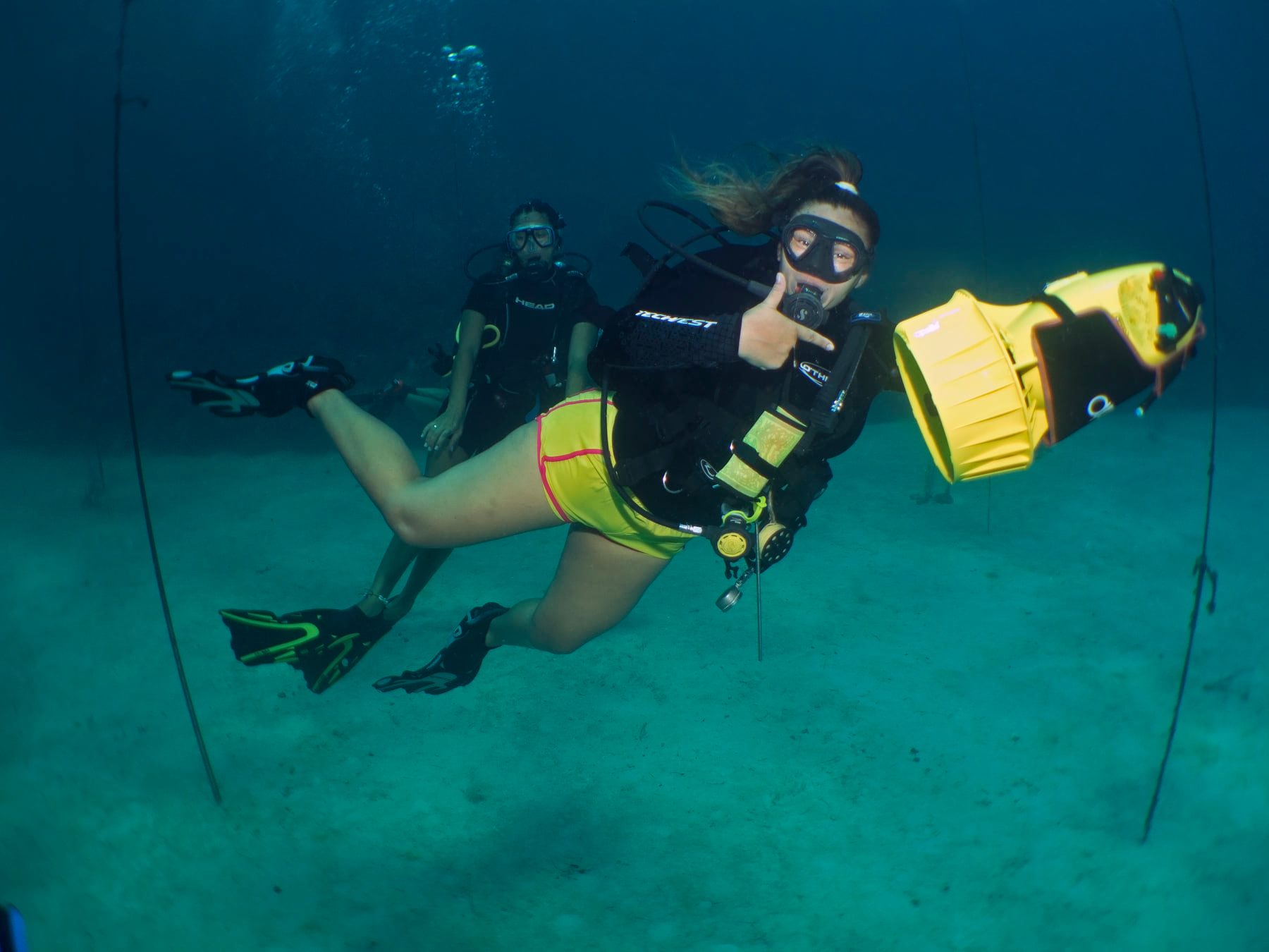 IDC roatan diving
